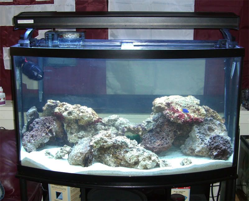 46g_SW_3.jpg