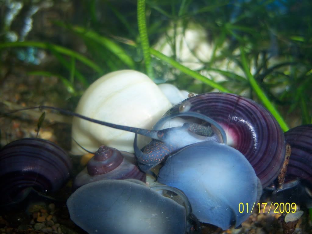 100_1425.jpg