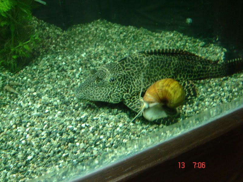DSC03107.jpg