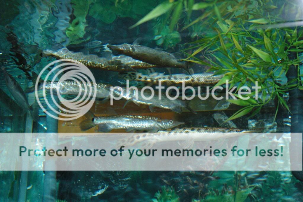IMGP6714.jpg