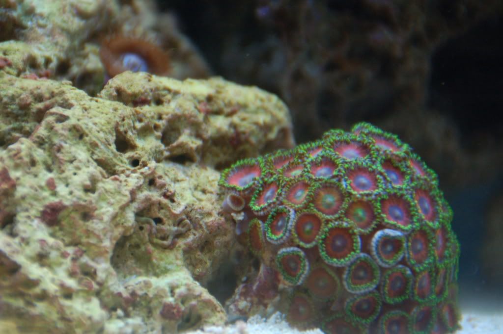DSC_0012.jpg