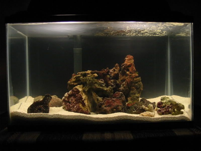 jan07125.jpg