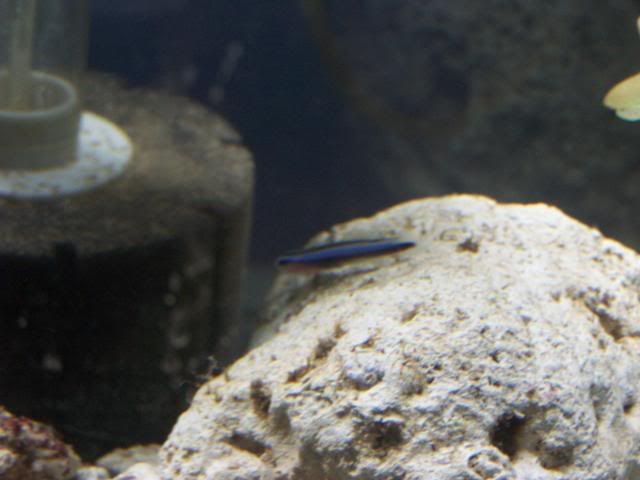 picture035.jpg