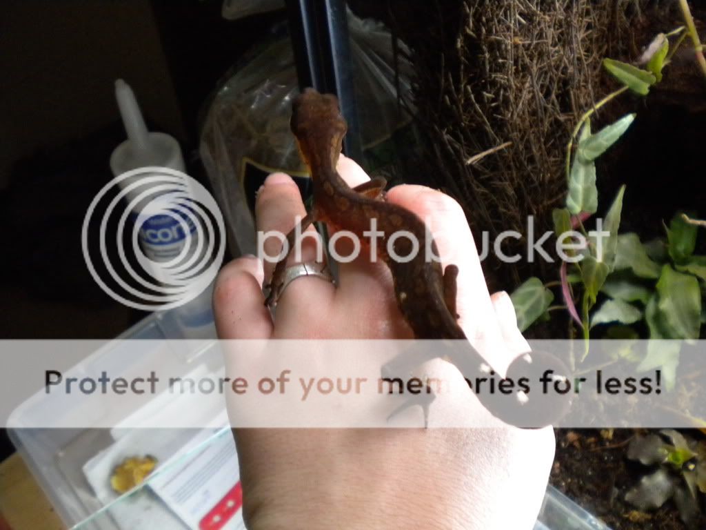 DSCN0260.jpg