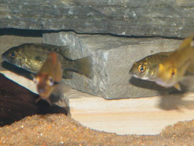 0904180036.jpg