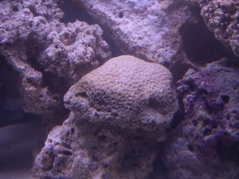 DSCN1089.jpg