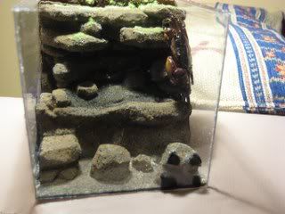 IMG_1339_320x240.jpg