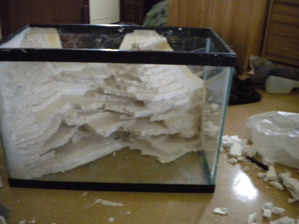 DSCN0326.jpg