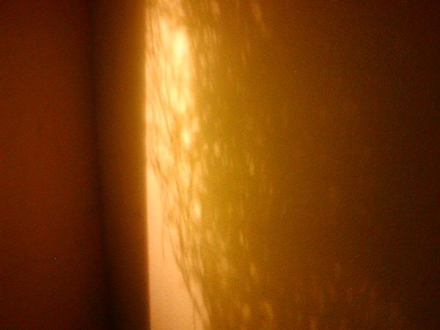 P1010019-12.jpg