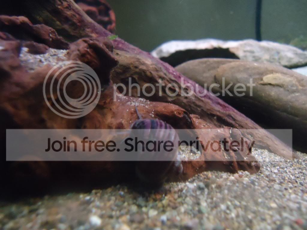 DSC06830.jpg