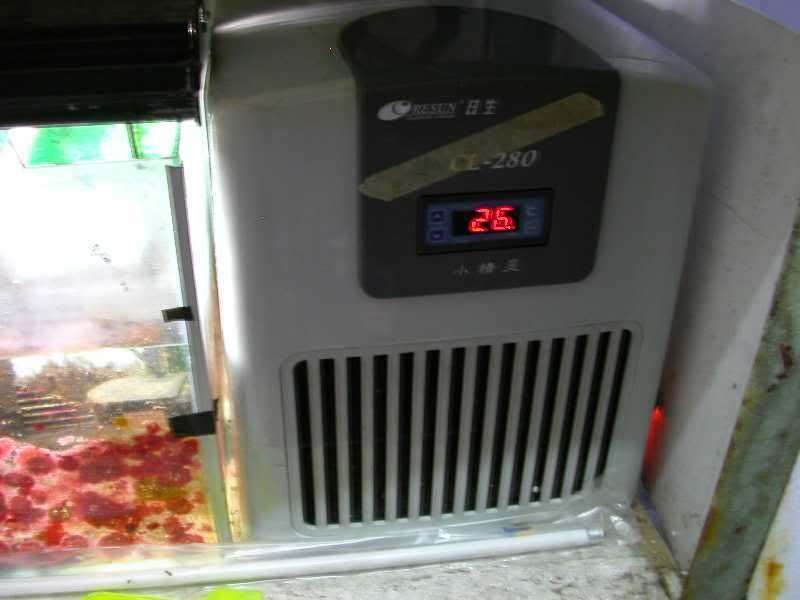 Chiller.jpg