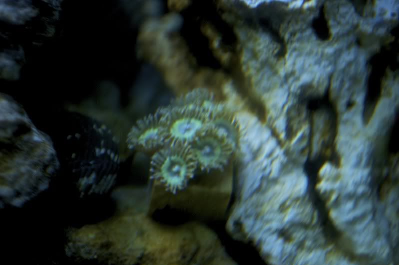 DSC_0049_2.jpg