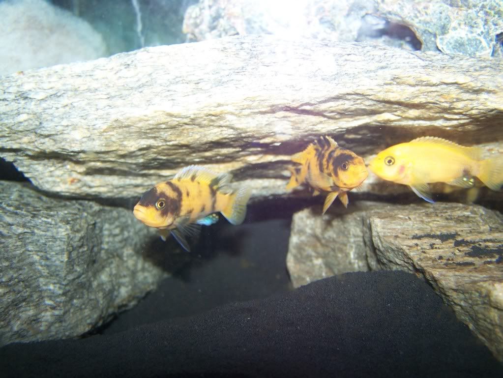 100_2755.jpg