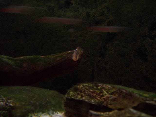 picture038.jpg
