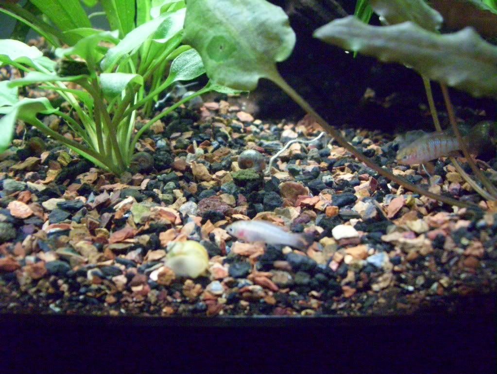 100_4190.jpg