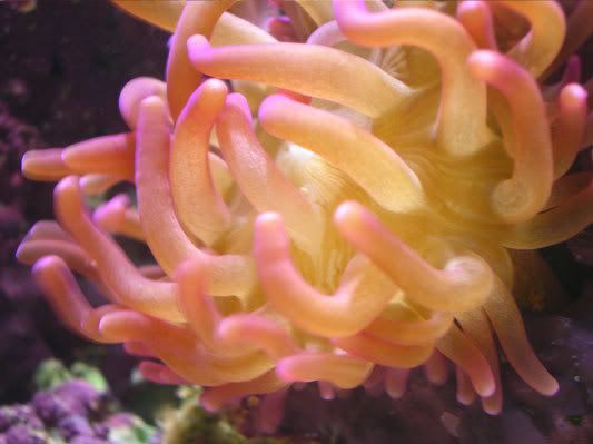 1022_rbta_2.jpg