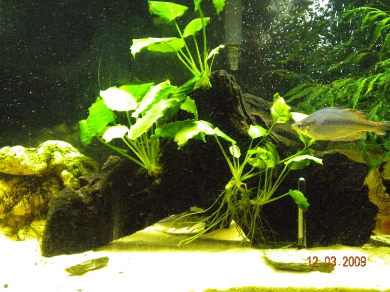 DSCN0095.jpg