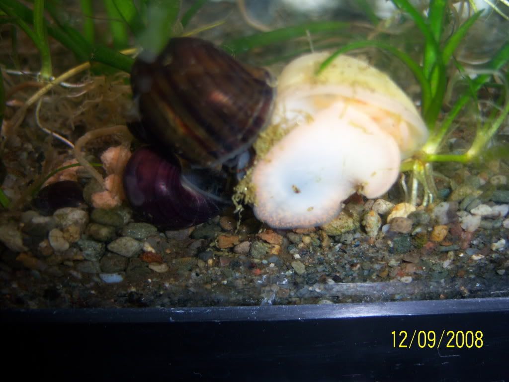 100_1206.jpg