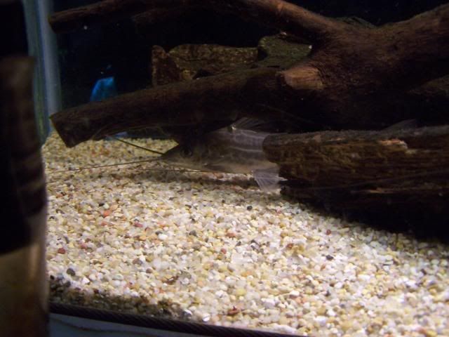 picture046.jpg