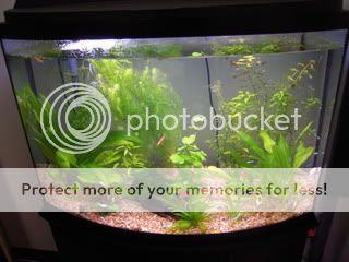 DSCN2182.jpg