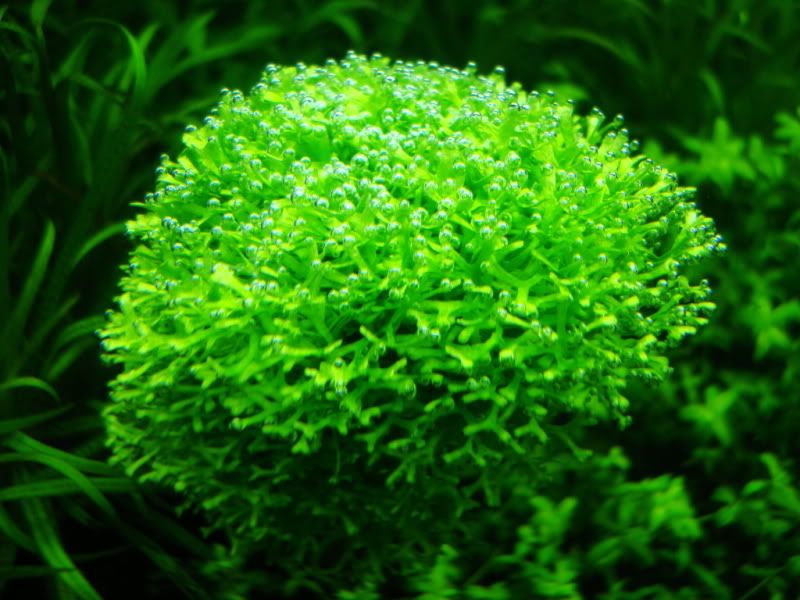 DSC00112.jpg