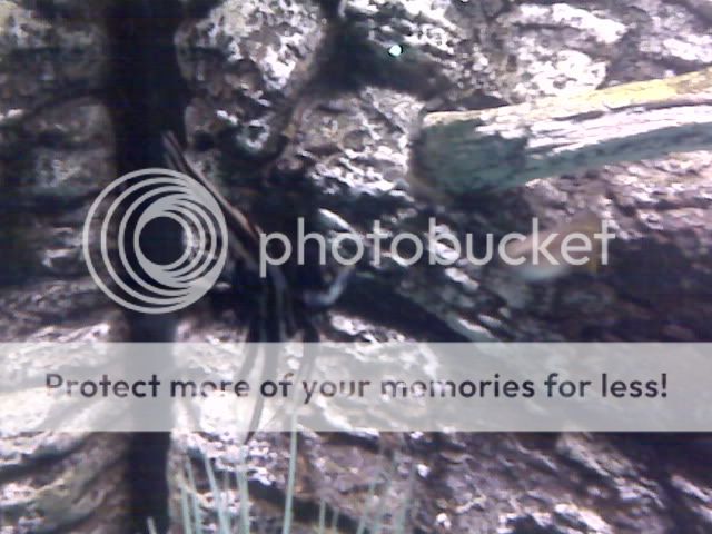 IMG00063.jpg