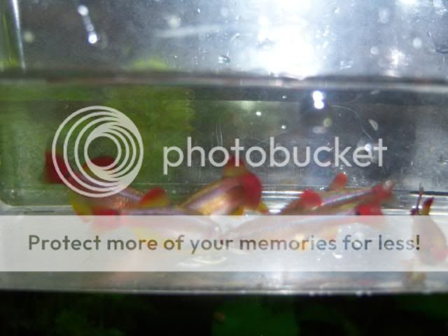 fishclub016.jpg