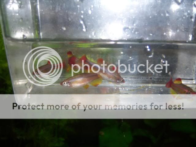 fishclub017.jpg