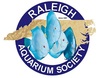 www.raleighaquariumsociety.org